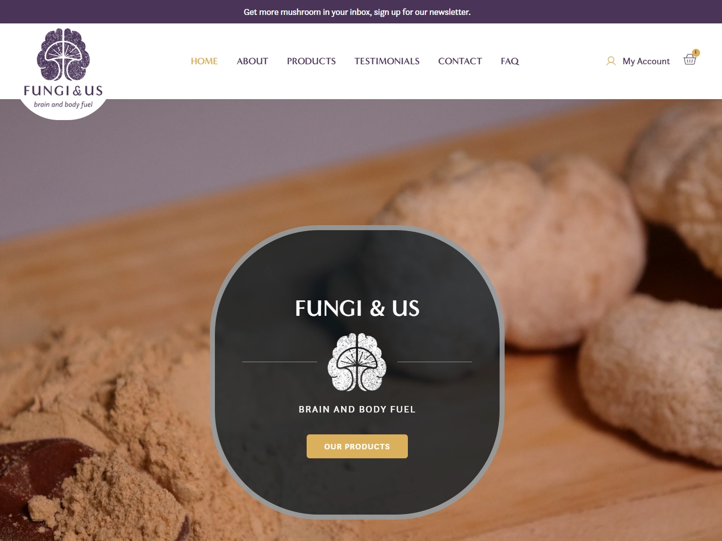 Fungi and Us